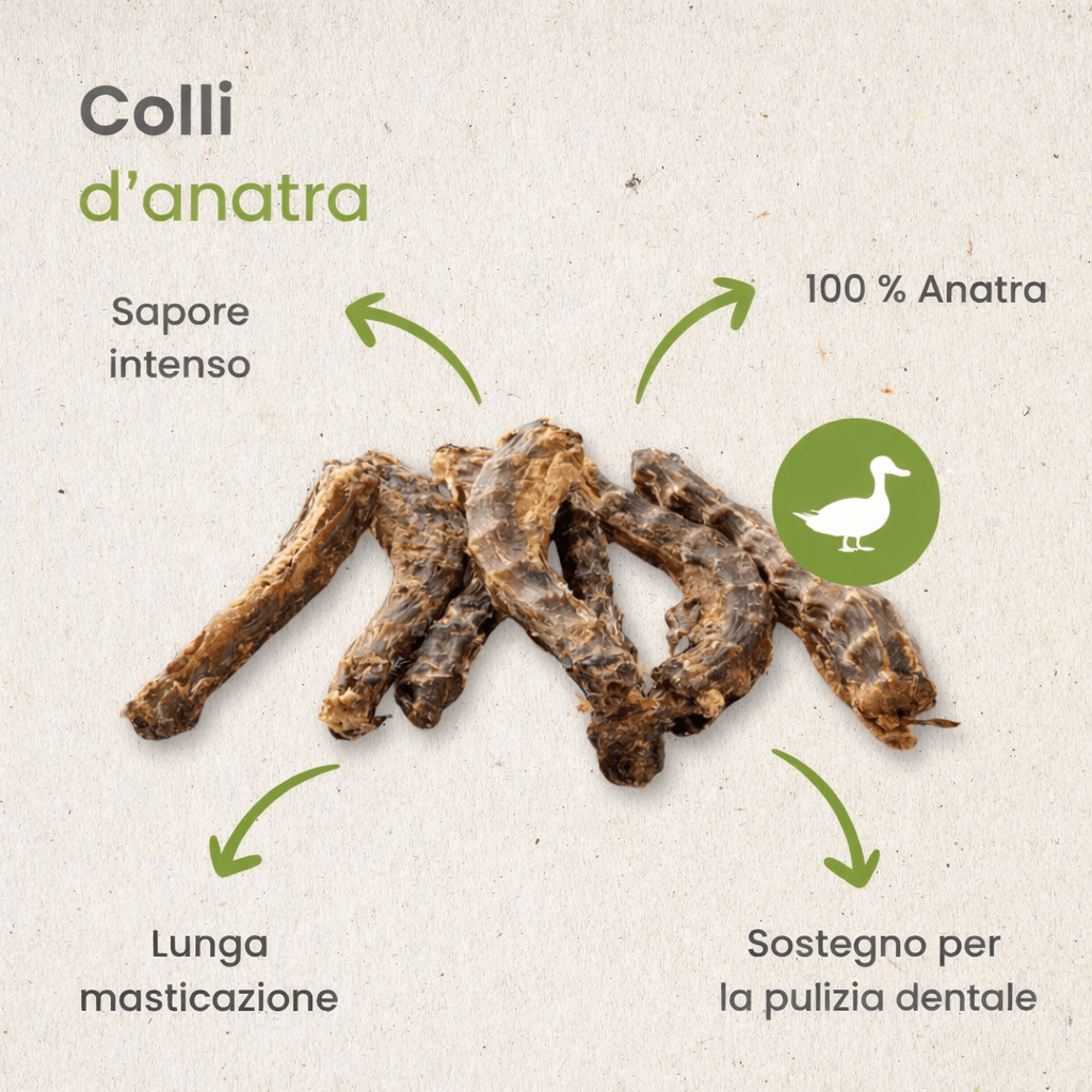 Colli d’Anatra Essiccati per Cani 100% Naturali – Snack Masticativo Lungo per cani - ZampAmico