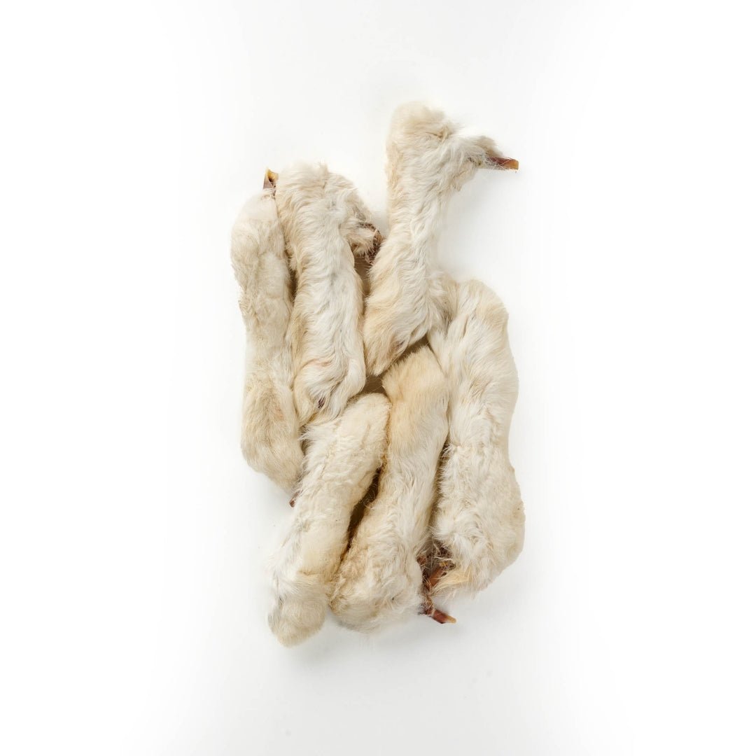 Zampe di Coniglio con Pelo – Snack Naturale per Cani Ricco di Calcio e Fibre per cani - ZampAmico