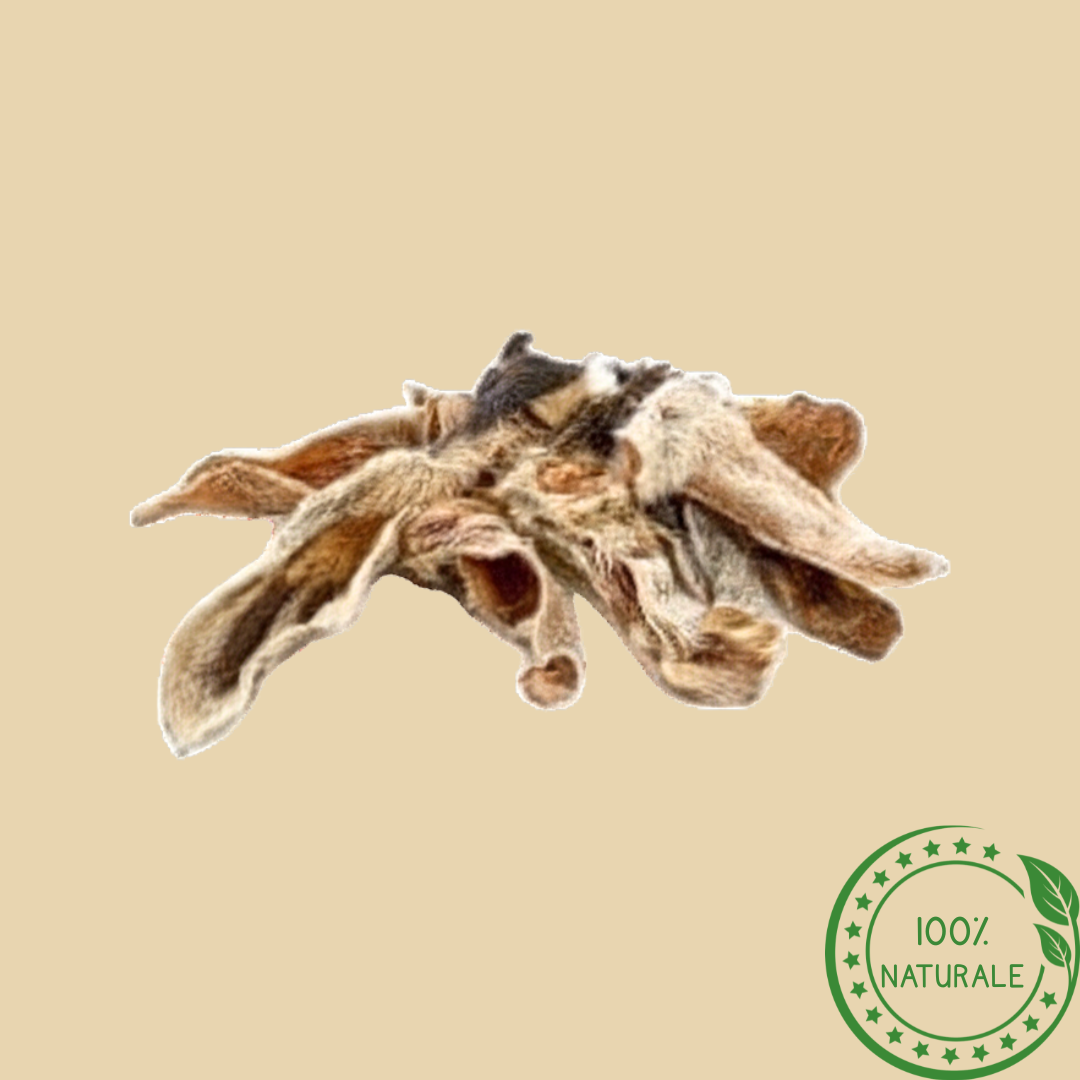 Orecchie di Agnello con Pelo – Snack Naturale per Cani