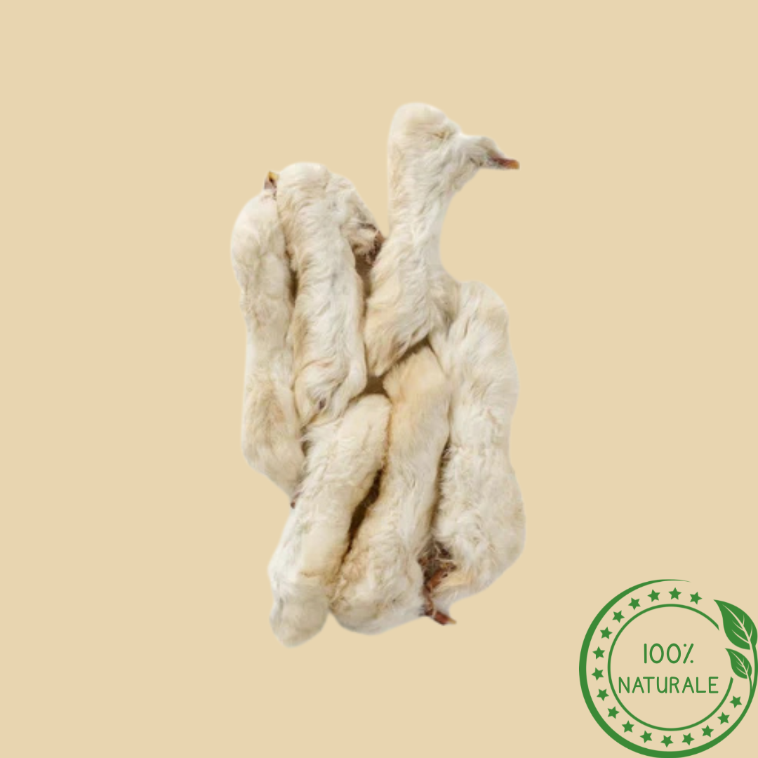 Zampe di Coniglio con Pelo – Snack Naturale per Cani Ricco di Calcio e Fibre