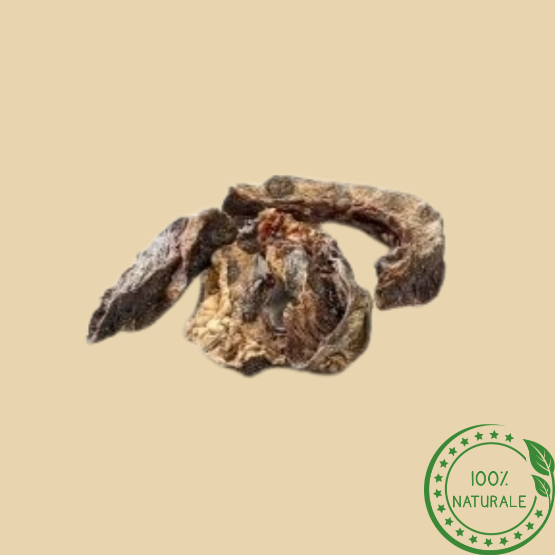 Cuore di Manzo Essiccato per Cani – Snack Proteico e Naturale