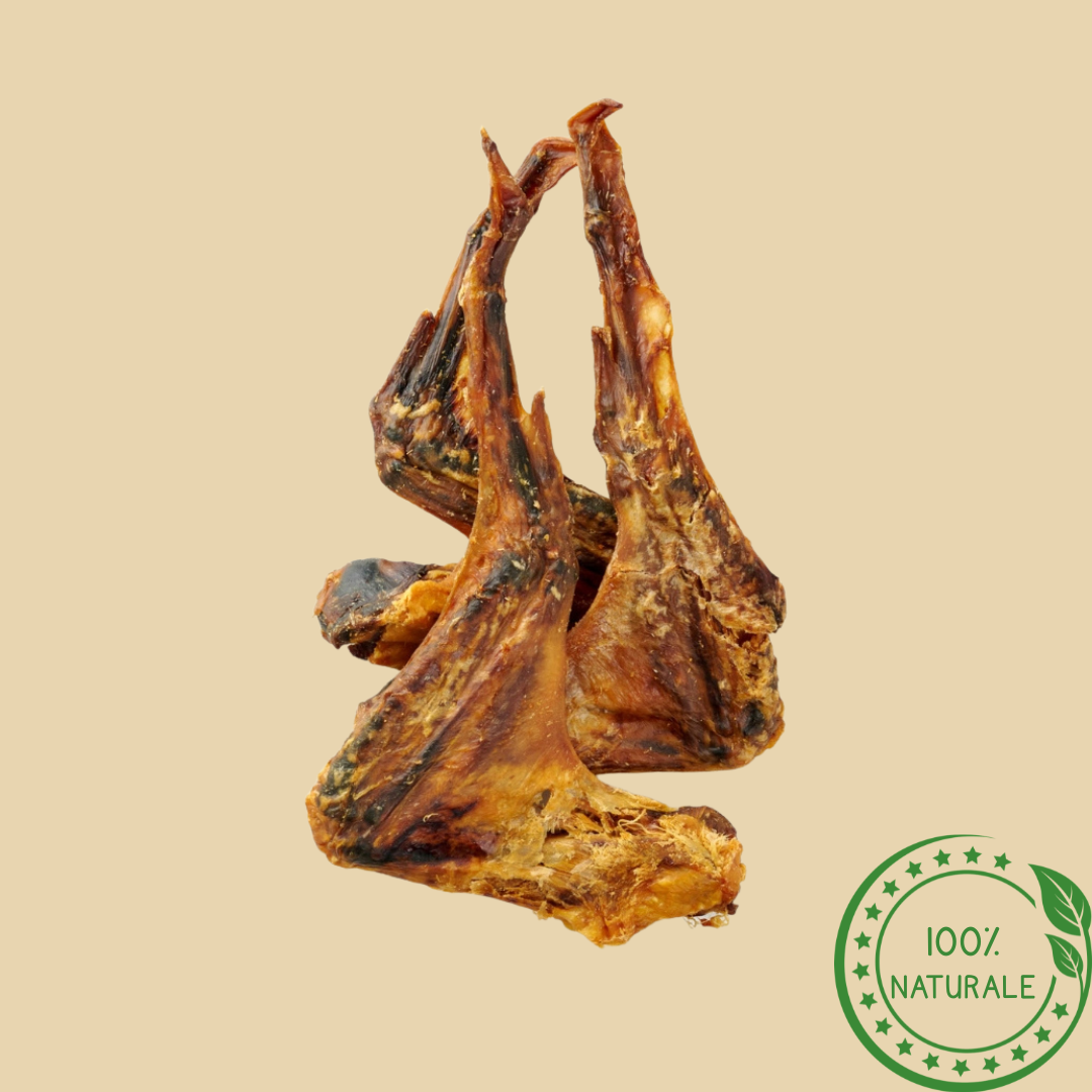 Ali d'Oca Naturali Essiccate per Cani