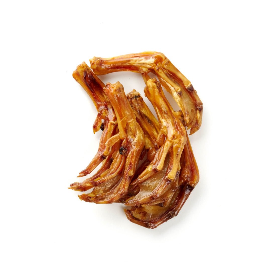 Zampe d’Anatra Naturali per Cani – Snack Proteico e Dentale per cani - ZampAmico