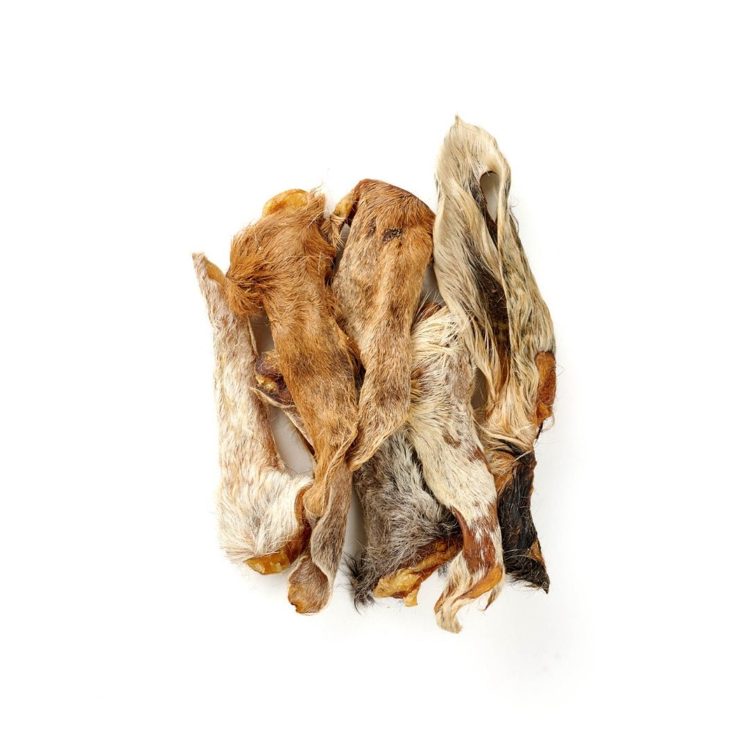 Orecchie di Agnello con Pelo – Snack Naturale per Cani Proteico e Digestivo per cani - ZampAmico