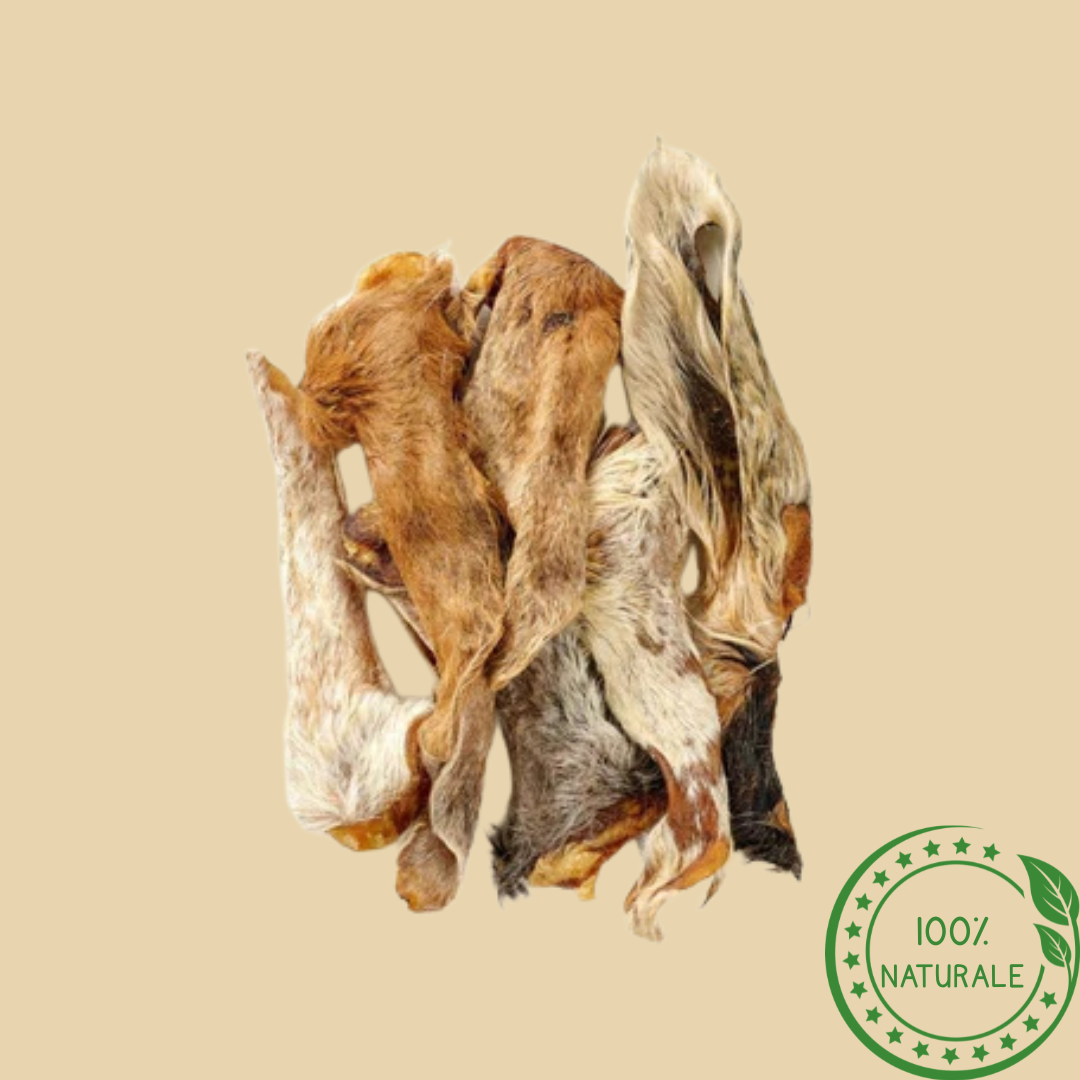 Orecchie di Agnello con Pelo – Snack Naturale per Cani
