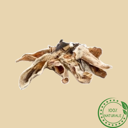 Orecchie di Agnello con Pelo – Snack Naturale per Cani