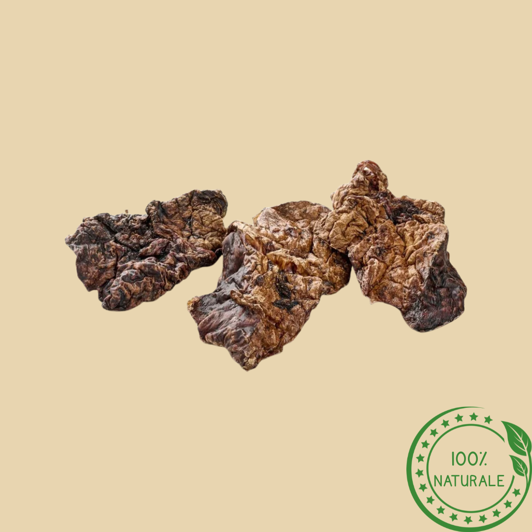 Polmone di Agnello Naturale per Cani – Snack Leggero e Proteico