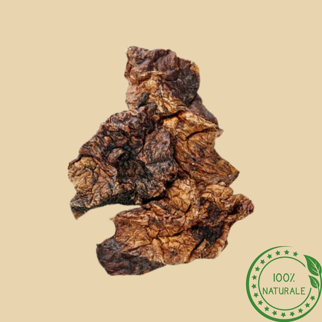 Polmone di Agnello Naturale per Cani – Snack Leggero e Proteico