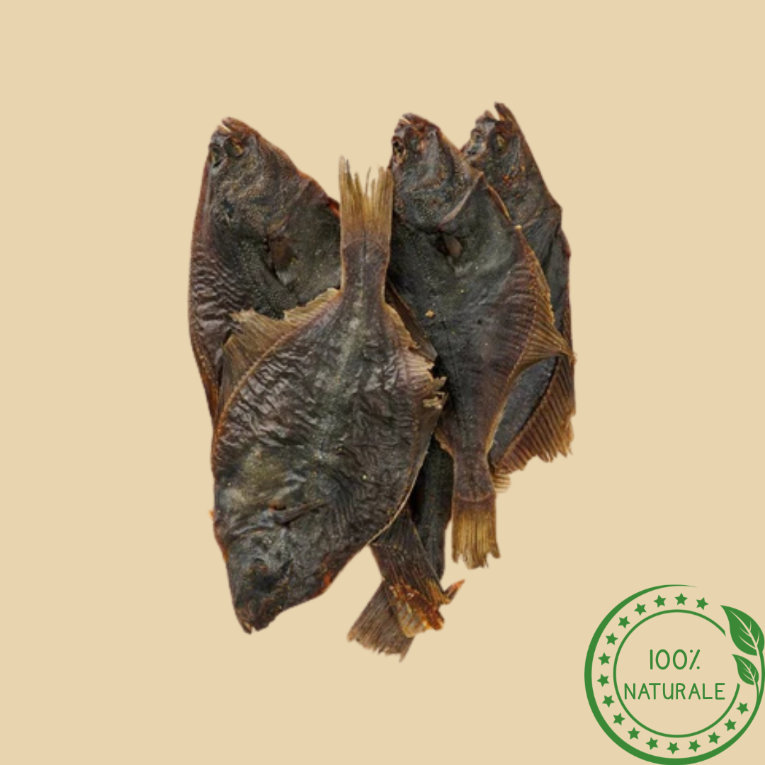 Platessa Essiccata per Cani – Snack Naturale Ricco di Proteine e Omega-3