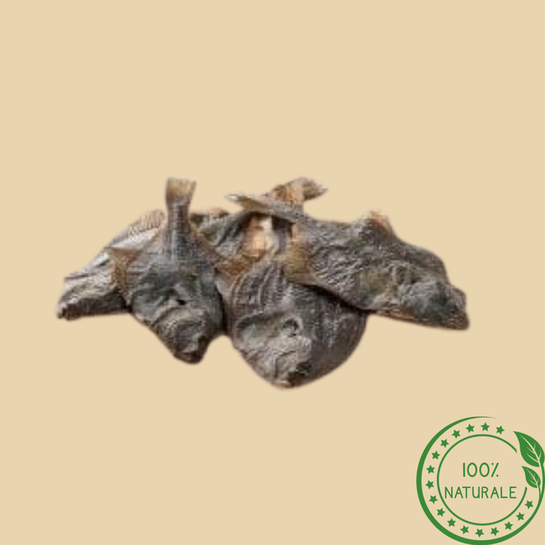 Platessa Essiccata per Cani – Snack Naturale Ricco di Proteine e Omega-3