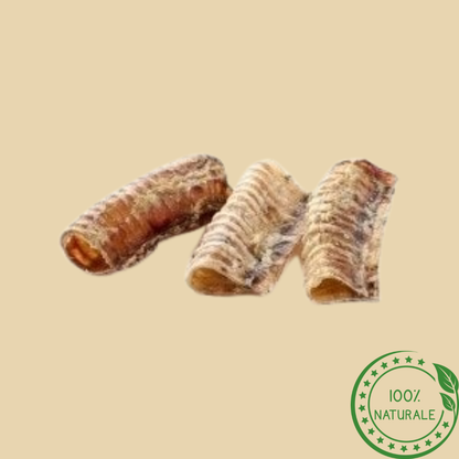 Trachea di manzo corta 250g - Snack prelibato per cani