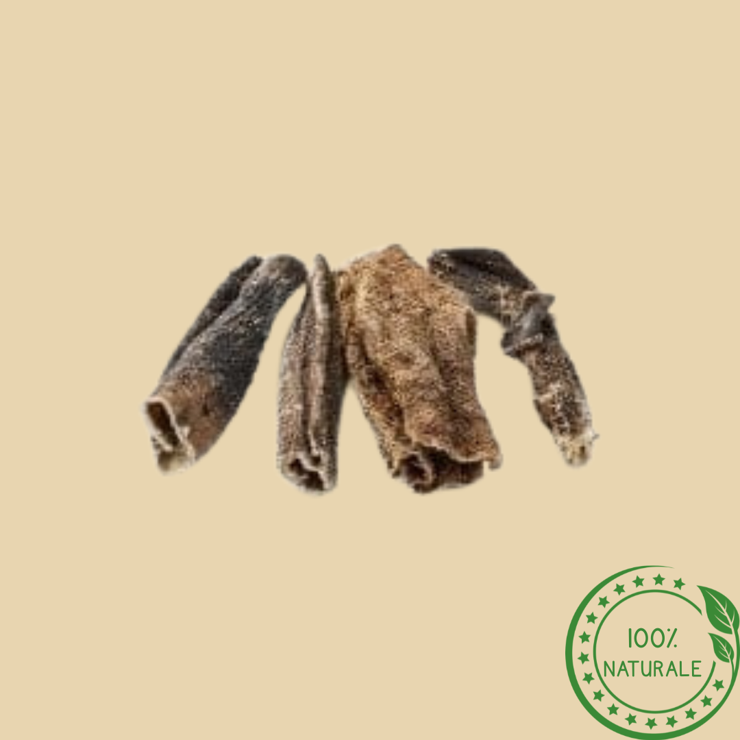 Trippa di Manzo Essiccata per Cani Naturale – Snack Masticativo Proteico e Digestivo