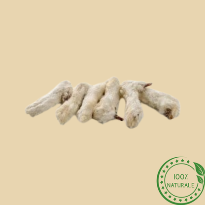 Zampe di Coniglio con Pelo – Snack Naturale per Cani Ricco di Calcio e Fibre