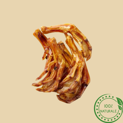 Zampe d’Anatra Naturali per Cani – Snack Proteico e Dentale