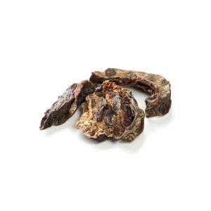 Polmone di Manzo Naturale per Cani – Snack Proteico e Leggero per cani - ZampAmico