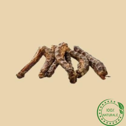 Colli d’Anatra Essiccati per Cani 100% Naturali
