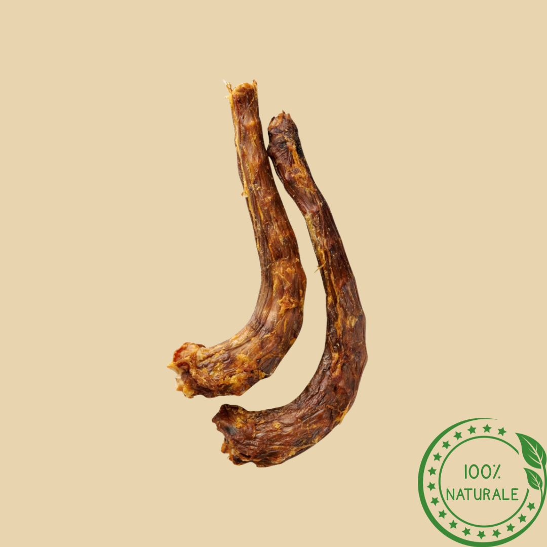Colli di Tacchino per Cani – Snack Naturale da Masticare