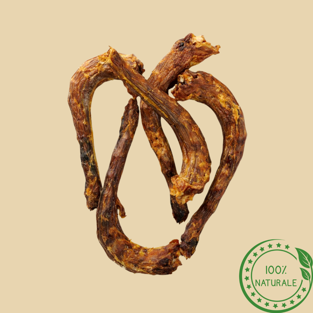 Colli di Tacchino per Cani – Snack Naturale da Masticare