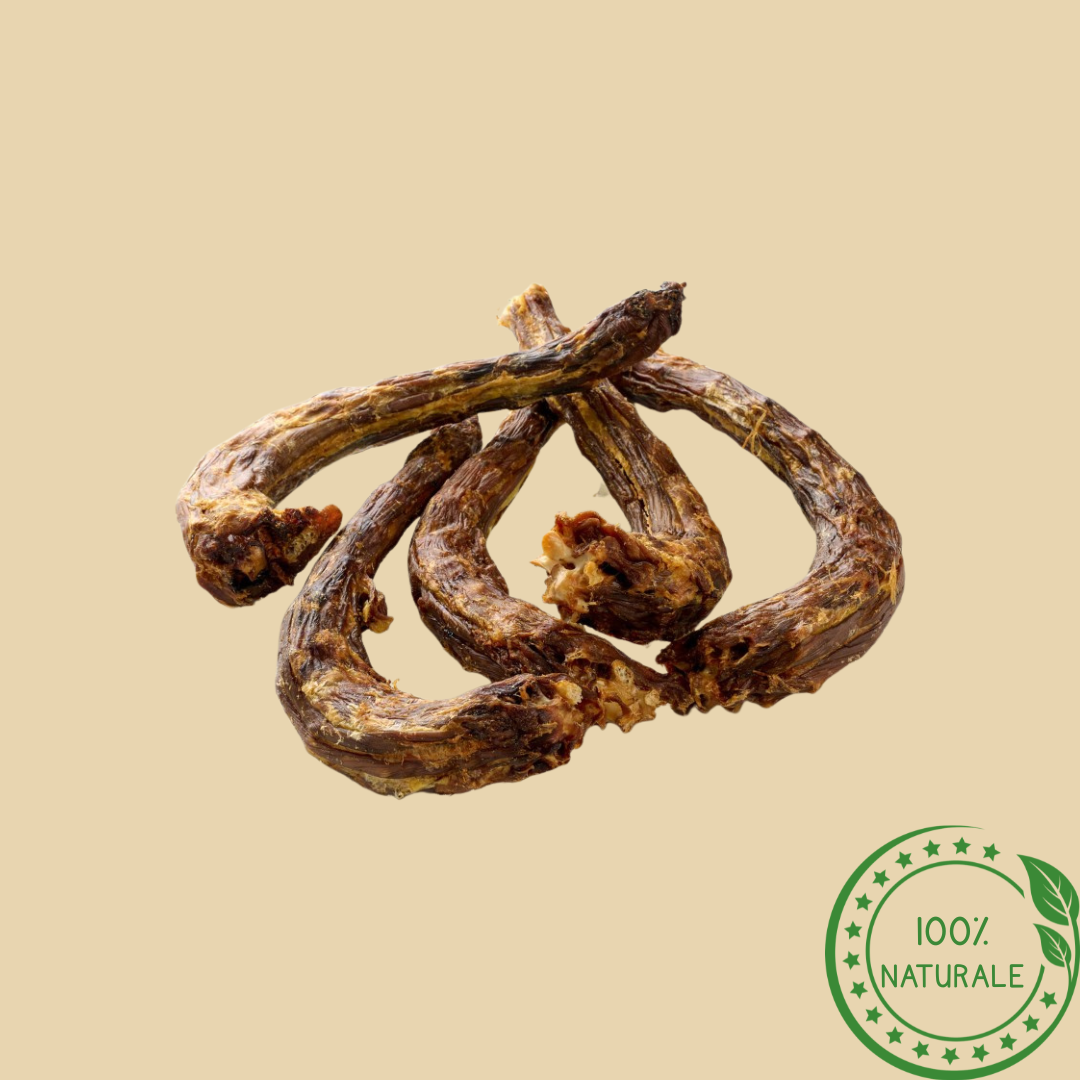 Colli di Tacchino per Cani – Snack Naturale da Masticare